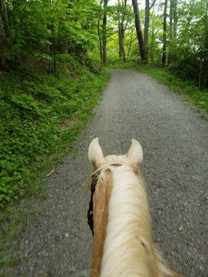 Beautiful countryside trails