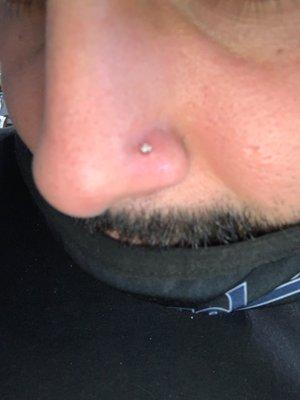 Nose piercing was easy, clean, and professional. Ask for astrig!