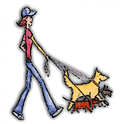 Professional Dog Walking Services