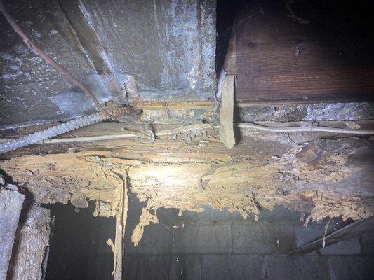 Termite damage to floor joist.