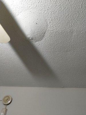 Ceiling for months