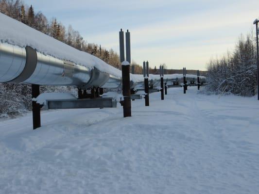 The pipeline, near Fairbanks