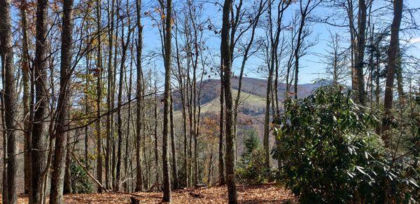 Southern Appalachian Highlands Conservancy