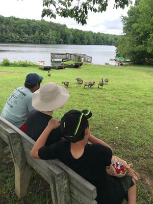 Camp moments: lunch by the lake!