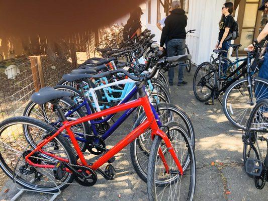 Bicycles of Ojai