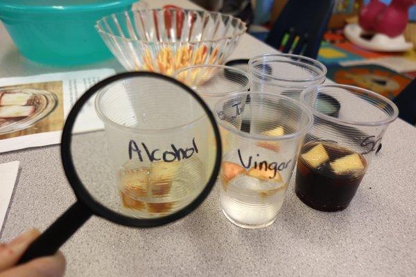 Seeing the effects of alcohol, vinegar, soda and other liquids on fruit