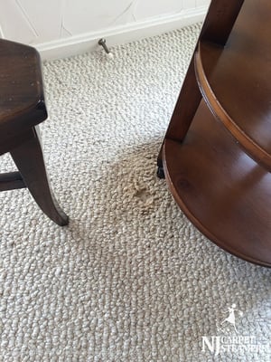 Carpet Damage Repair