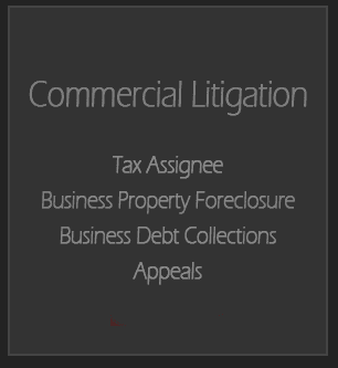 Commercial Litigation