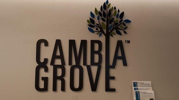 Cambia Grove