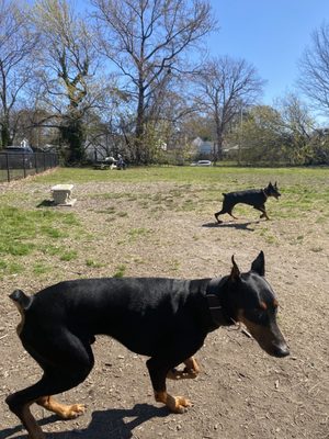 Ocean View Dog Park