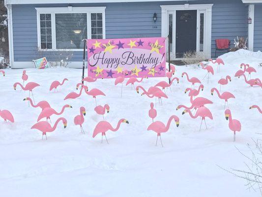 winter flamingo display