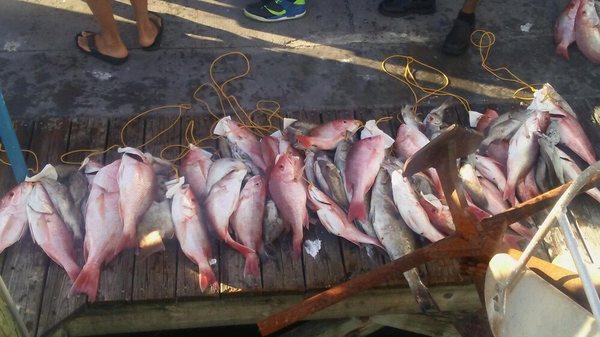 Double Eagle Deep Sea Fishing - Clearwater