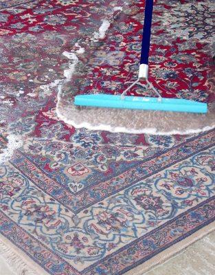 Area Rug Cleaning, Sanitizing, Deodorize, Pet Treatment, and Stain Guard