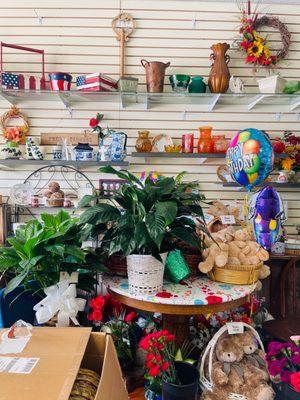 Plants, vases and stuffed animals