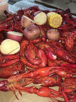 Crawfish