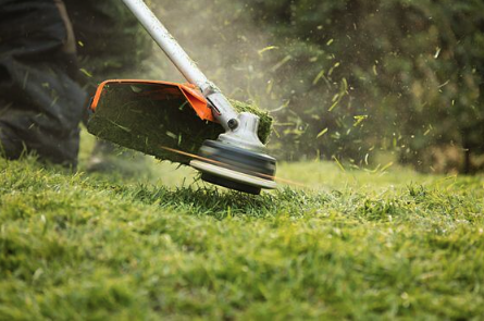 Weed Trimming