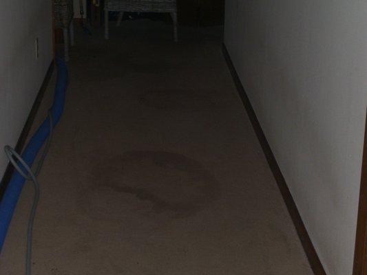 Bad stain/spot in hall "BEFORE"