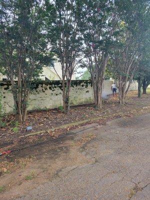 Mold and algae fence