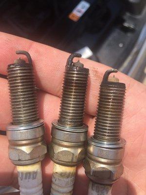 Cylinders 1-3. All destroyed. No way possible these were new to begin with less than 5k miles in them.