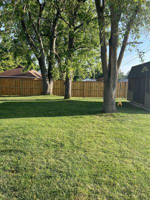 American fence and supply installed my fence and it is a show stopper