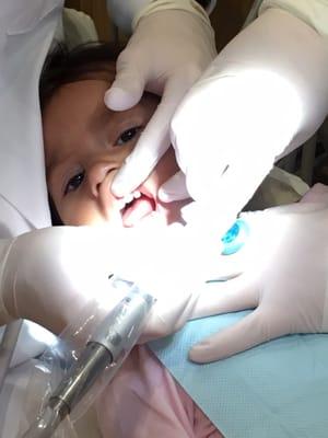 My calm 2year old while her dentist visit