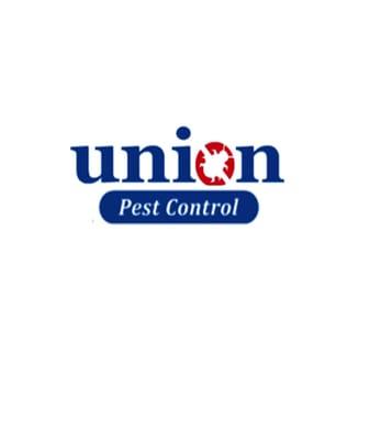 Termite & Pest Control Service