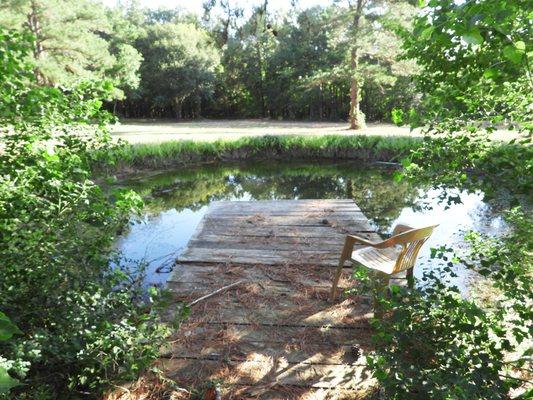 Pond with small pier on wooded property for sale near the Sam Houston National Forest.