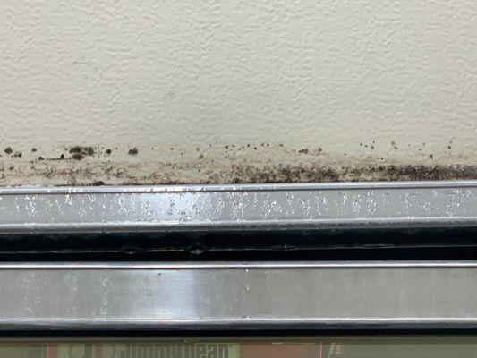 Dangerous black mold above the freezer cases.