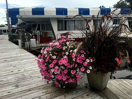 Castaways Marina - the dock is in full bloom!