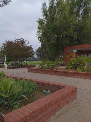 View of the golf course