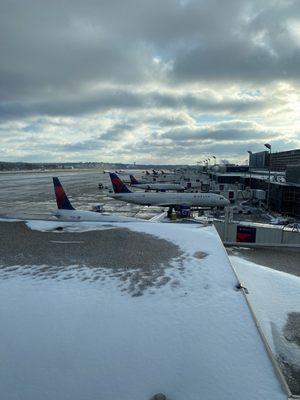 MSP Observation Deck