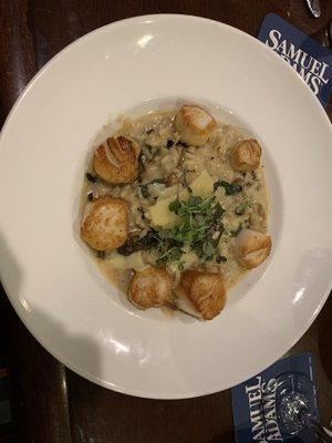 Scallops and mushroom risotto