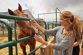 Galloping Grace Youth Ranch