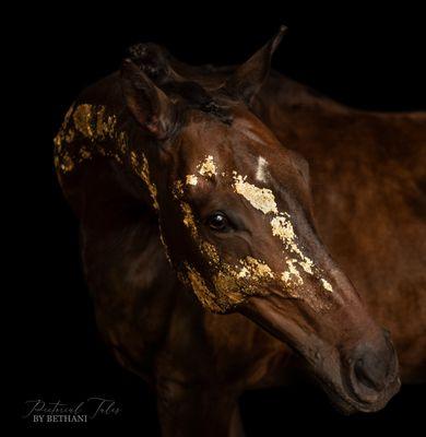 Kintsugi Gold Leaf Session