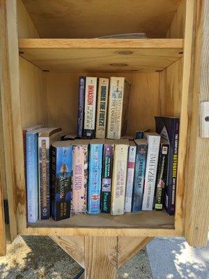 Little Free Library, Carson City