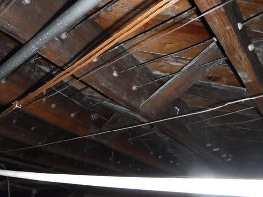 After mold remediation on floor joists that were heavily contaminated by mold due to a water pipe break.