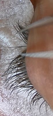 Lash isolation