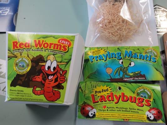 We have lady bugs, red worms, and praying mantis eggs when in season for you organic gardens.