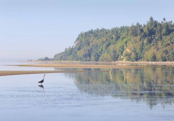 Just one of the beautiful beaches in Point Roberts