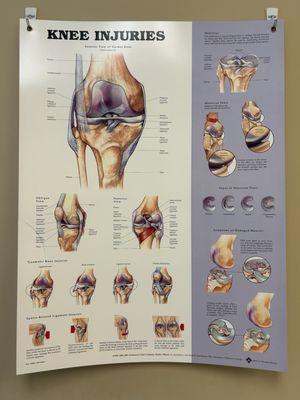 Knee injuries