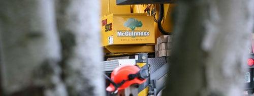 McGuinness Tree Service