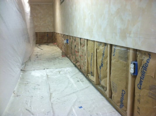 Mold remediation: During