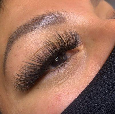 Volume lashes