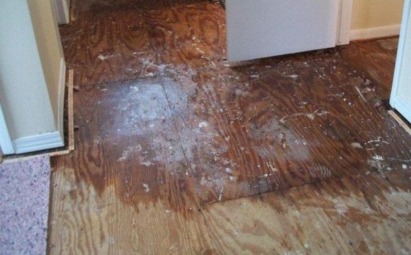 Water Damage Claim Help - Public Adjuster, NC