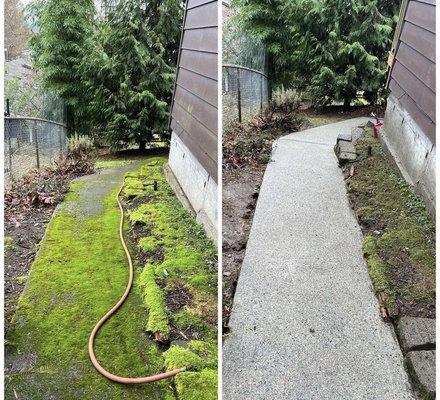 Side walk with a lot of Algae build up! We got it all removed and customer was very satisfied!