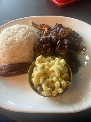 Brown stew chicken with white rice