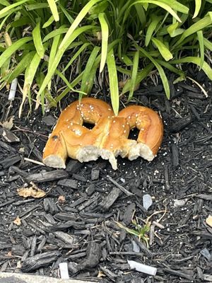 Pretzel was nowhere near fresh. Just gave it to the birds. Thrown the other half a little distance away for the other birds.