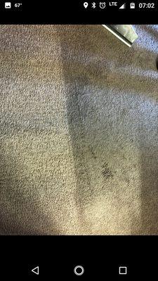 Huge difference between dirty and clean carpet