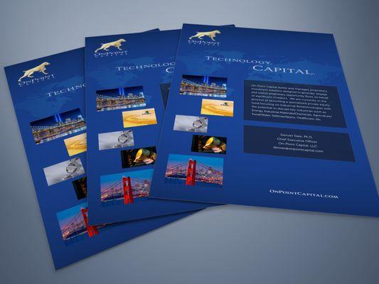 OnPoint Capital Identity System