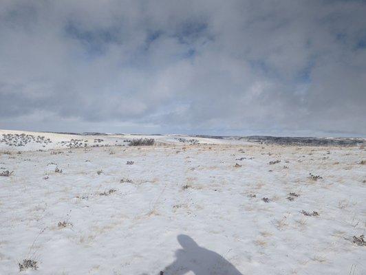 Soapstone Natural Area